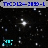 TYC 3124-2099-1