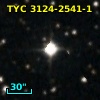 TYC 3124-2541-1