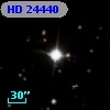 HD  24440