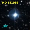 HD 181986