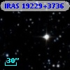 IRAS 19229+3736