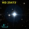 HD  25473