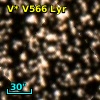 V* V566 Lyr