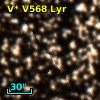 V* V568 Lyr