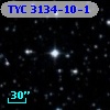 TYC 3134-10-1
