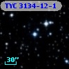 TYC 3134-12-1