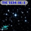 TYC 3134-16-1