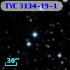 TYC 3134-19-1