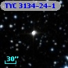 TYC 3134-24-1