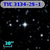TYC 3134-28-1