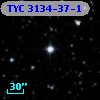 TYC 3134-37-1