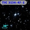 TYC 3134-47-1