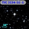 TYC 3134-55-1
