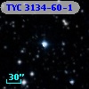 TYC 3134-60-1