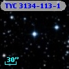 TYC 3134-113-1