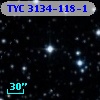 TYC 3134-118-1