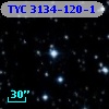 TYC 3134-120-1