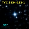 TYC 3134-132-1
