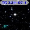 TYC 3134-137-1
