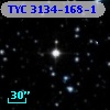 TYC 3134-168-1