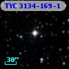 TYC 3134-169-1