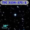 TYC 3134-175-1
