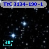 TYC 3134-190-1