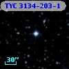 TYC 3134-203-1