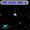 TYC 3134-208-1