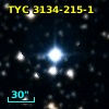 TYC 3134-215-1