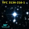 TYC 3134-216-1