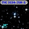 TYC 3134-250-1