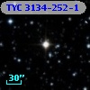 TYC 3134-252-1