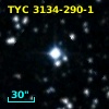 TYC 3134-290-1