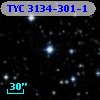 TYC 3134-301-1