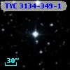 TYC 3134-349-1