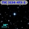 TYC 3134-473-1