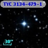 TYC 3134-479-1