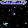 TYC 3134-636-1