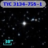 TYC 3134-758-1