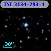 TYC 3134-793-1