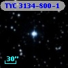 TYC 3134-800-1