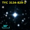 TYC 3134-829-1