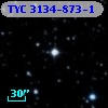 TYC 3134-873-1