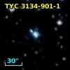 TYC 3134-901-1