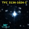 TYC 3134-1024-1