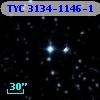 TYC 3134-1146-1