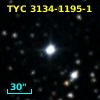 TYC 3134-1195-1