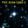 TYC 3134-1201-1