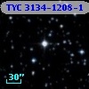 TYC 3134-1208-1